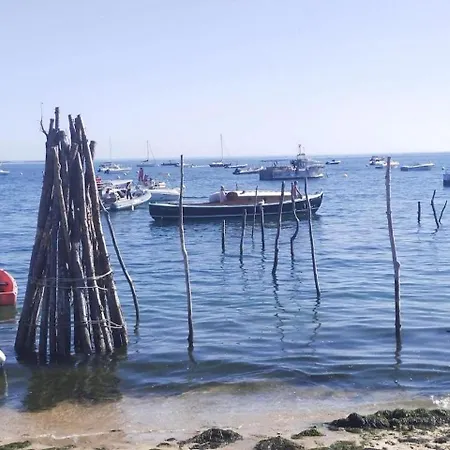 Elégant T2 Près De La Et En Hyper Centre Appartement