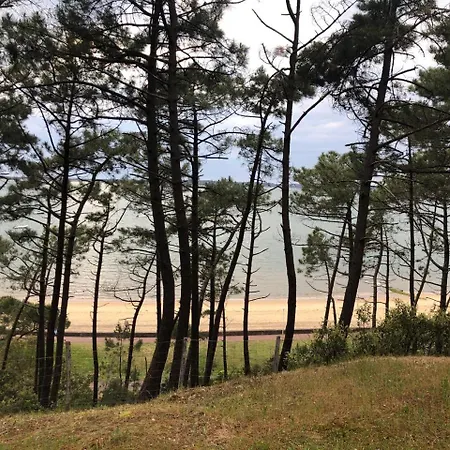 Elégant T2 Près De La Et En Hyper Centre Arcachon