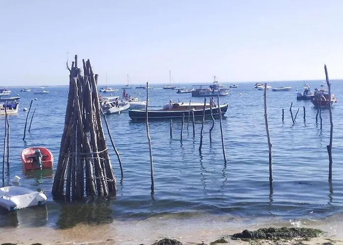 Le Bassin A Vos Pieds Avec T2 Elegant Entre Et Hyper Centre Апартаменты