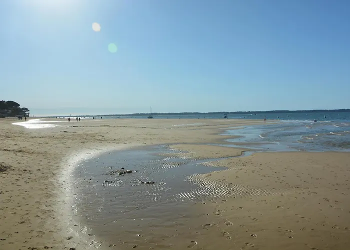 Le Bassin A Vos Pieds Avec T2 Elegant Entre Et Hyper Centre