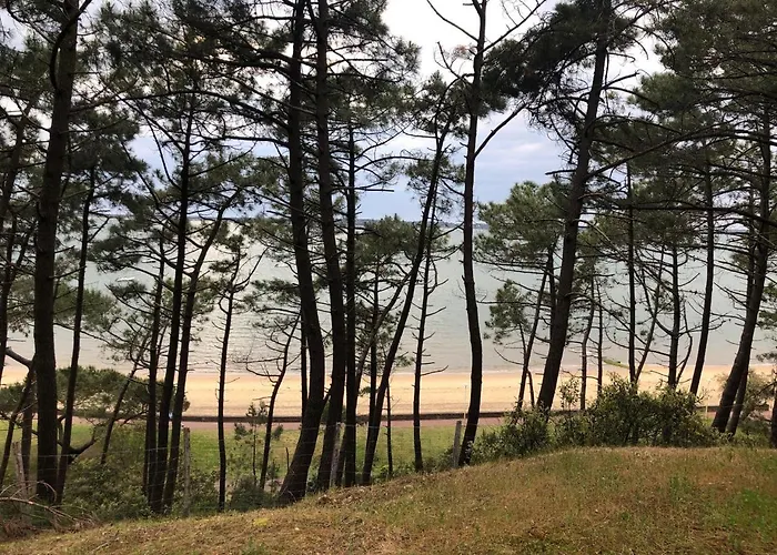 Le Bassin A Vos Pieds Avec T2 Elegant Entre Et Hyper Centre Аркашон